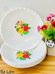 TÔ NHỰA TRẮNG HOA SIZE LỚN (NO101, SỐ9)