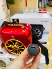 Loa bluetooth karaoke A20 Mẫu Mới Nhất tặng kèm 1 micro ko dây (30)