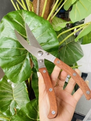 Kéo Cắt Gà Cán Gỗ Mã K16 (4)