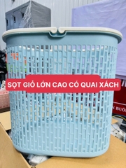 SỌT GIỎ LỚN 2 QUAI MẪU CAO (5)