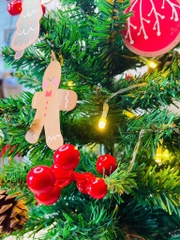 Cây Thông Noel 60cm Kèm Phụ Kiện Đèn Led Mẫu Mới (14)