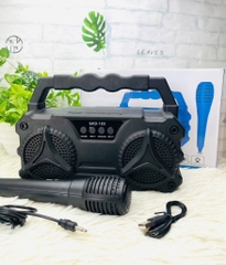 LOA KARAOKE D103 TẶNG KÈM MICRO CÓ DÂY NHIỀU MÀU (12)