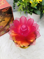 Đèn thờ hoa sen có sẵn 50 Bài tụng kinh (14)
