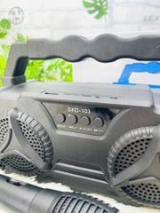 LOA KARAOKE D103 TẶNG KÈM MICRO CÓ DÂY NHIỀU MÀU (12)