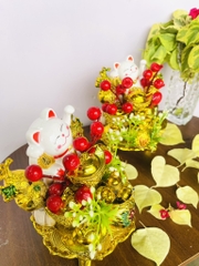 THÁP TỎI - ĐẬU - THẦN TÀI SỐ 17 CHƯNG PHONG THUỶ (7)