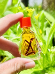 DẦU GIÓ HỖ TRỢ GIẢM VIÊNG XOANG (1)