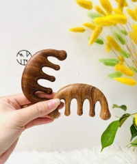 LƯỢC GỖ MASSA TRỊ LIỆU ĐÀN HƯƠNG (2)
