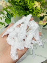 Set 100 Màng Bọc Thực Phẩm Gấu (1)