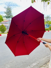 DÙ CHE MƯA NẮNG XỊN NẮP NHỰA CHỤP (7)