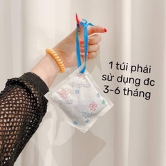 TÚI TREO THƠM HYGIENE HÀNG THÁI (3)