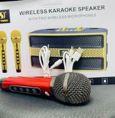 LOA KARAOKE BLUETOOH YS202 TẶNG KÈM 2 MICRO KHÔNG DÂY CỰC HAY (60)