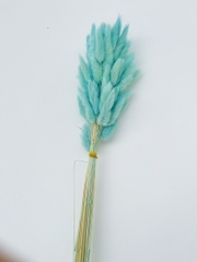 Bó Hoa Khô Decor Nhiều Màu SALE xả KHO
