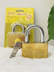 Ổ Khóa Zsolex 6 Phân (60mm)Thường (3)