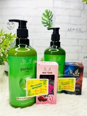 CHAI DẦU GỘI BƯỞI NGĂN NGỪA RỤNG TÓC BOUQUET CHÍNH HÃNG 500ml KÈM QUÀ TẶNG (10)
