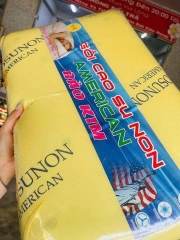 Gối Nằm Cao Su Non American Cao Cấp Siêu Êm (5)