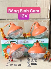 Bóng Đèn Kẹp Bình 12v Công Suất 36w Siêu Sáng