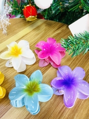 KẸP TÓC HOÁ SỨ KUTE (1)