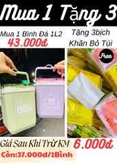 BÌNH ĐÁ BIBI HOT TREND 1L2 TẶNG KÈM CỌ RỬA LY 5k (3)