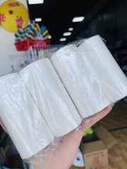 Combo 2 Lõi Lăn Bụi Mẫu 10cm Loại Dầy Nhiều Tờ (2)