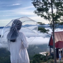 Dù Đi Mưa Trong Suốt (2)