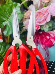 KÉO CÁN ĐỎ 17cm LOẠI 45g (1)