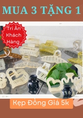 Kẹp Tóc Răng Cưa Lớn Nhiều Màu Đồng Giá (1)