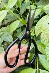 KÉO CẮT CÁN ĐEN SIZE 21cm (1)