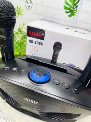 Loa Karaoke SD306 Bản S Mắt Cú Tặng Kèm 2 Mic Ko Dây Cực Hay (60)