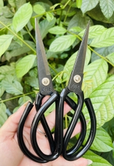 KÉO CẮT CÁN ĐEN SIZE 21cm (1)