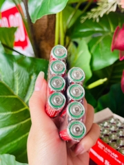 Cặp Pin AA xịn Maxcel (1)