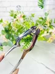 DỤNG CỤ TÁCH SÒ HUYẾT INOX VÀ KẸP CÀNG CUA MẪU XỊN (3)
