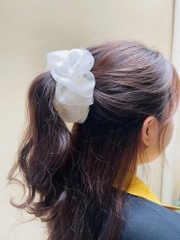 KẸP TÓC CÀNG CUA NƠ LOẠI TO (2)