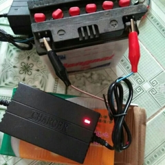 Sạc Bình Xe 12V-2A (3)