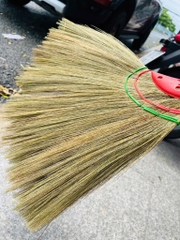 CÂY CHỔI QUÉT NHÀ XỊN HÀNG CTY (2) '
