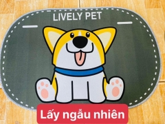 Thảm Lót Chân OVAL Bầu (1)