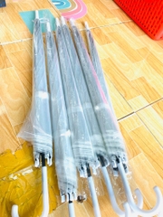 Dù Đi Mưa Trong Suốt (2)