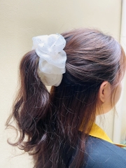 KẸP TÓC CÀNG CUA NƠ LOẠI TO (2)