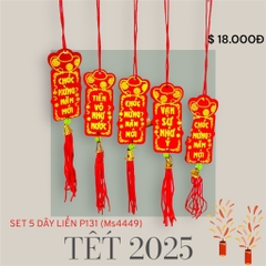 SET 10 DÂY LIỂN P231 TREO TRANG TRÍ DECOR TẾT 2025 (1)