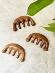 LƯỢC GỖ MASSA TRỊ LIỆU ĐÀN HƯƠNG (2)