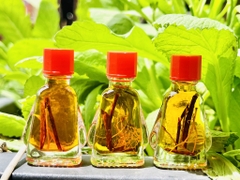 DẦU GIÓ HỖ TRỢ GIẢM VIÊNG XOANG (1)