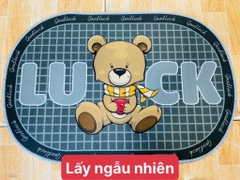 Thảm Lót Chân OVAL Bầu (1)