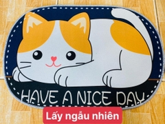 Thảm Lót Chân OVAL Bầu (1)