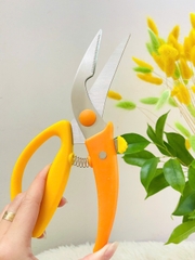 KÉO CẮT GÀ KITCHEN ĐA NĂNG CÁN VÀNG (2)