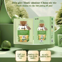 GỘI ĐEN PHỦ BẠC BÁN RỜI BỊT (1), HỘP 10B = 35K