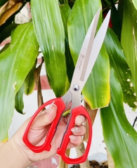 KÉO CẮT GIẤY MỎ DÀI H9 (2)