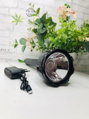 ĐÈN PIN CẦM TAY DP XỊN MÃ 9179 (12)