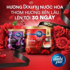Sáp thơm phòng Downy Ambi Pur 180gr nội địa Thái Lan (5)
