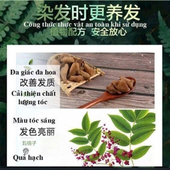 GỘI ĐEN PHỦ BẠC BÁN RỜI BỊT (1), HỘP 10B = 35K