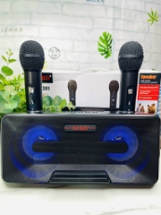 LOA KARAOKE TẶNG KÈM 2 MICRO KHÔNG DÂY CỰC HAY MÃ SD301 (60)