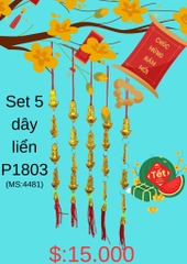 SET 5 DÂY LIỂN 1803 TREO TRANG TRÍ DECOR TẾT 2025 (1)